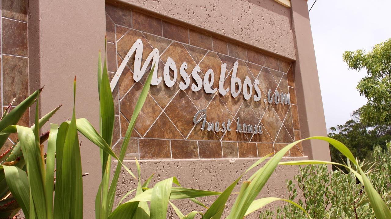 Mosselbos Guesthouse Self-Catering Great Brak River Kültér fotó